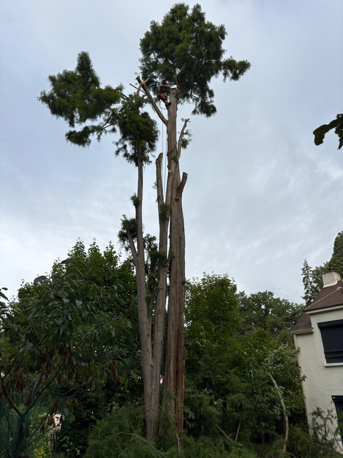 WhatsApp Image 2025-10-01 at 11.25