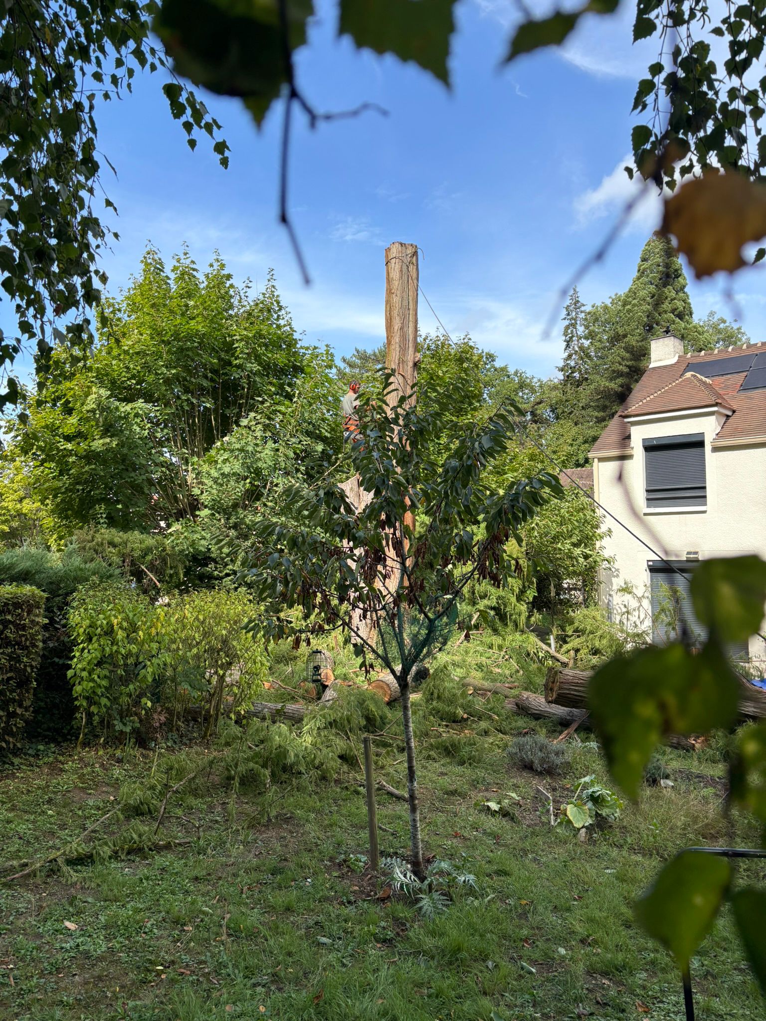 WhatsApp Image 2025-10-01 at 11.25