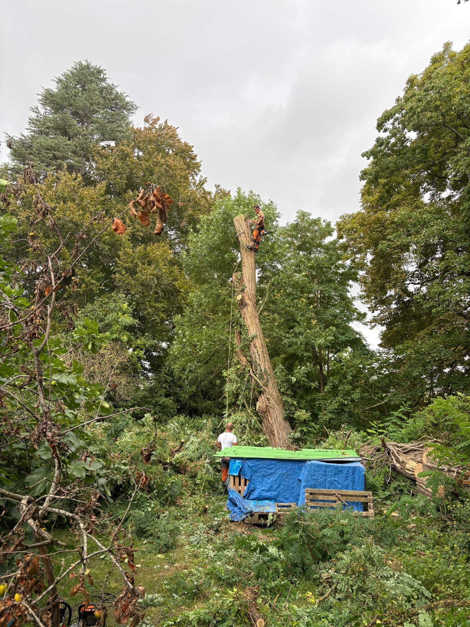 WhatsApp Image 2025-10-01 at 11.25