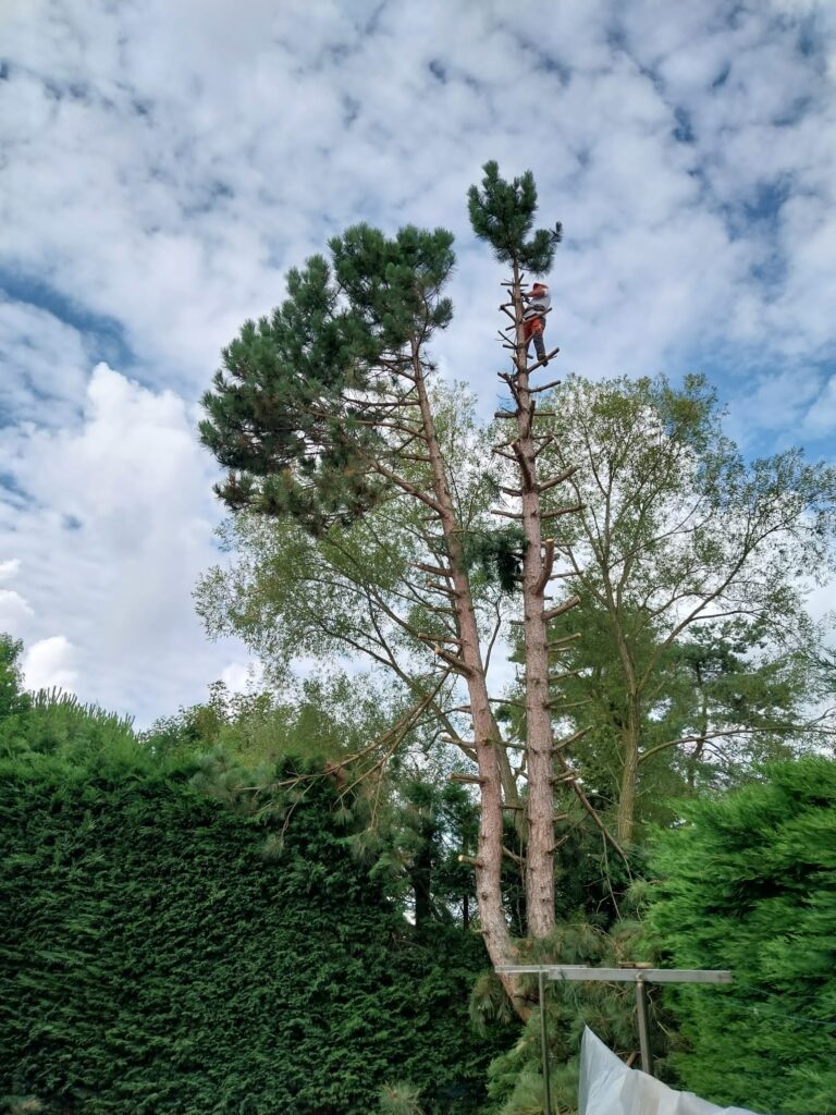 WhatsApp Image 2025-10-01 at 11.25